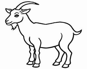 Obraz premium A simple line drawing of a standing goat with horns and a beard isolated on white background
