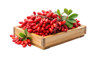 Freshly Harvested Bright Red Barberries Overflowing from Rustic Wooden Box Isolated