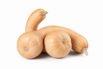 Canada Crookneck Pumpkin Winter Squash Isolated on White