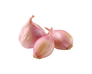 Obraz premium A cluster of fresh baby bananas with water droplets