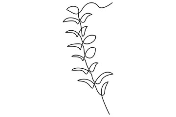 Continuous line vector drawing of botanical leaves one line contour illustration