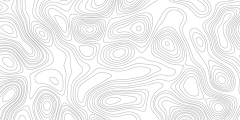 Abstract line art white background vector. Mountain topographic map wallpaper with blue lines texture. Hand drawn illustration design for wall arts, fabric, geographic contour map paper texture. 