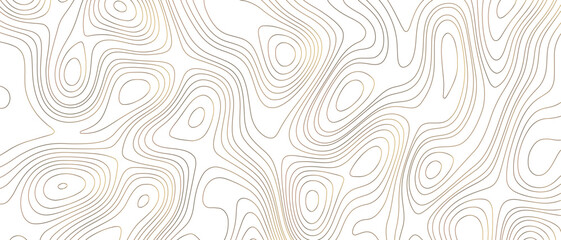 Fototapeta premium Abstract line art white background vector. Mountain topographic map wallpaper with blue lines texture. Hand drawn illustration design for wall arts, fabric, geographic contour map paper texture. 