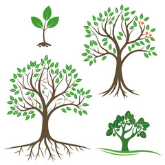 Obraz premium Tree Icon Vector Set – Nature, Forest, and Eco Symbols in Flat and Silhouette Design