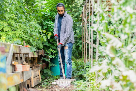 Young adult male gardening with a rake in a lush, green backyard garden. Germany - Powered by Adobe