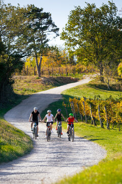 Family cycling through vineyards in Vipava Valley Slovenia