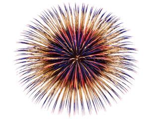 Obraz premium Vibrant Fireworks Burst for Festive Celebration, isolated on transparent background PNG
