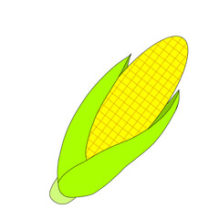 新鮮なトウモロコシのイラスト