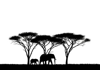 Vector art of silhouette of a mother elephant and her baby calf standing under acacia trees in the african savanna, isolated on a