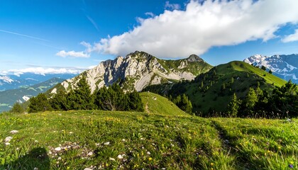Obraz premium A vast, verdant alpine meadow stretches before a backdrop of towering, rocky peaks under a vibrant blue sky.