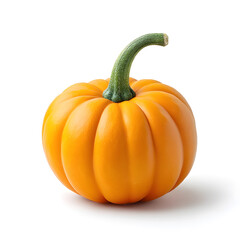 Obraz premium Compact orange pumpkin with smooth skin , ideal for seasonal decor and food-themed designs.