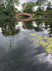 A quiet river or lake surrounded by a dense green forest. The mirror-like water reflects the trees...
