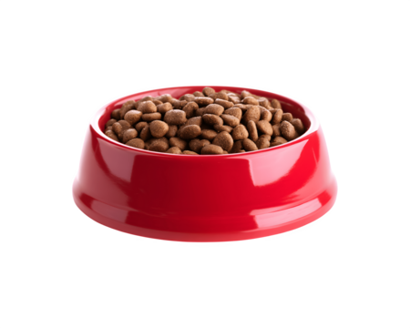 Dry cat food served in a red bowl
