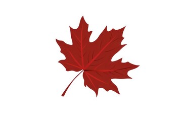 Fototapeta premium Leaves leaf illustration maple.