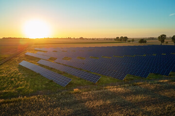Rows of solar panels in field at sunset. Renewable energy concept