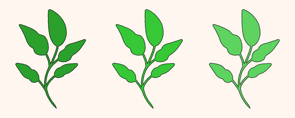  Hand drawn green leaf icons. Summer green plant vector illustration, Ecology icon isolated, Leaves doodle elements