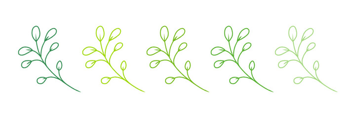 Green tropical Leaves in doodle style. Hand drawn leaf line icons vector, Exotic summer botanical illustrations