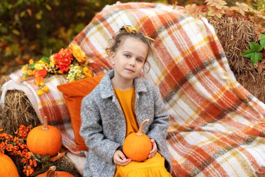 Cute little girl holding orange pumpkin. Smile child girl in grey coat play with pumpkin in autumn garden on Halloween. Kid trick or treat. Young girl carving pumpkins. Harvest of pumpkin. - Powered by Adobe