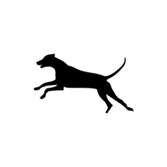 vector  isolated black silhouette of a dog