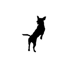 vector  isolated black silhouette of a dog