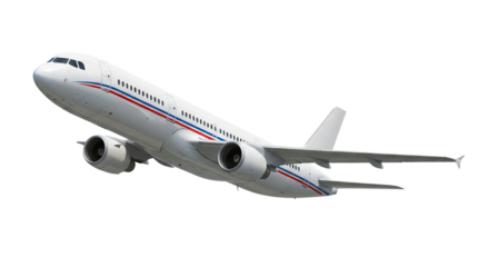 Three white cosmos flowers isolated on transparent background
