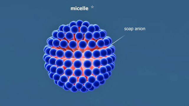 Micelle Formation.
