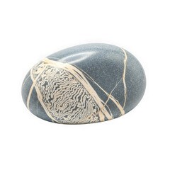 Grey oval stone with intricate white wavy pattern pebble rock isolated on a transparent background
