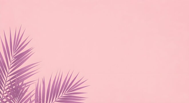 Sombra de hoja de palmera tropical sobre fondo rosa, Copyspace.