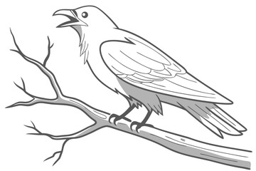 Singing Crow or Raven on a Branch - Vector Illustration