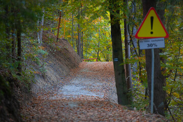Velo Natura na Borysowie w Muszynie