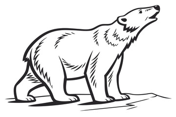  Polar Bear Howling - Black and White Line Art Illustration