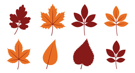Collection of colorful autumn leaves in shades of orange and red on white background