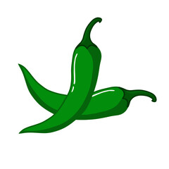 Fresh green chili pepper vector illustration