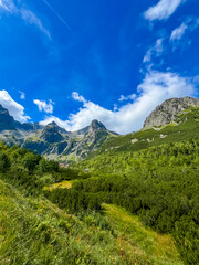 High Tatras peaks, lush greenery valley under clear sky. Yellow hiking trail Zelene Pleso (green lake) mountain lake in High Tatras, Slovakia, yellow hiking trail.