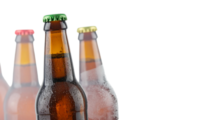 Frosted Glass Window Pane Effect PNG