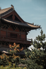 Exploring traditional Chinese temple architecture nestled among trees