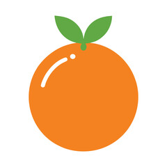 vector illustration of orange fruit