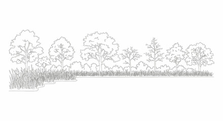 Elegant landscape sketch with detailed trees and tall grass illustration