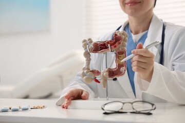 Gastroenterologist showing model of large intestine at white table in clinic, closeup. Space for...