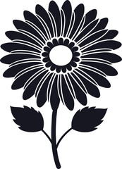Transvaal daisy flower silhouette on white background