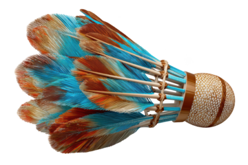 Close-up of a colorful shuttlecock.  Vibrant turquoise and rust-colored feathers radiate outward from a central, light brown/beige base.  The shuttlecock is sharply focused, against a black background