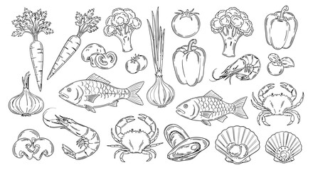 Fototapeta premium Seafood and Vegetables Line Art Collection