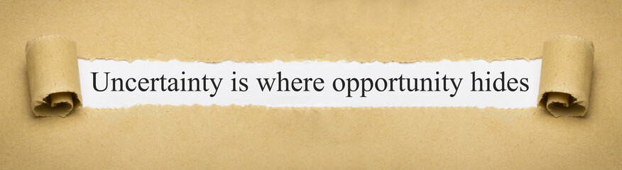 Uncertainty is where opportunity hides