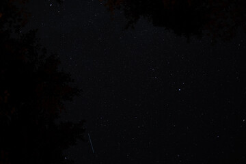 Starry sky with visible meteor streak above treetops, night view of constellations and universe.
