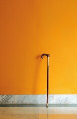 Elegant wooden walking cane leaning against vibrant orange wall