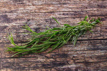 Fresh green tarragon aromatic herb