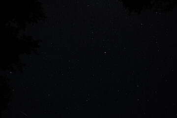 Dark night sky filled with countless stars, with faint meteor streak visible and tree silhouettes...