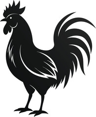 Rooster silhouette on white background