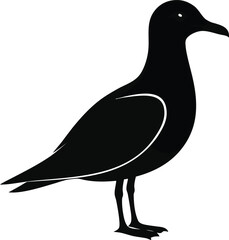 Silhouette of a seagull against a clean background