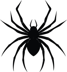Spider silhouette on clean white background